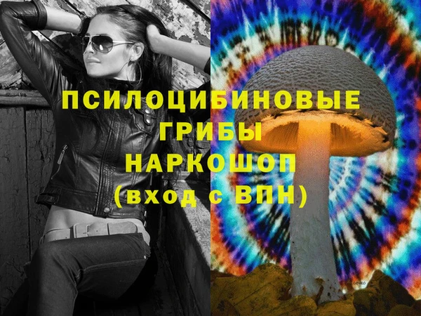 стафф Гусь-Хрустальный