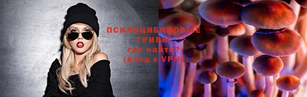 стафф Гусь-Хрустальный