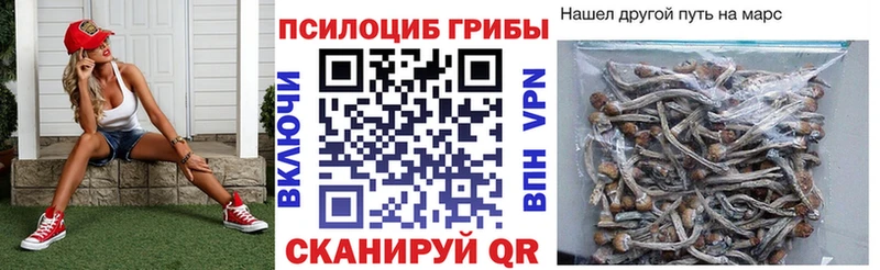 Галлюциногенные грибы прущие грибы  Данков 