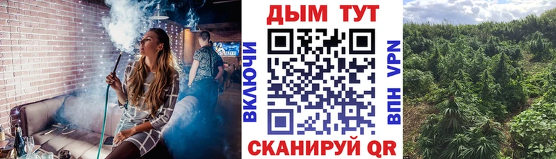 Шишки марихуана Ganja  Данков 